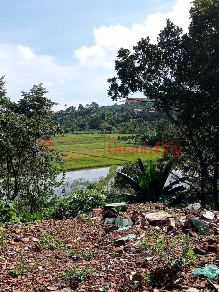 BEAUTIFUL LAND - GOOD PRICE - For Quick Sale Land Lot Prime Location In Lien Dam Commune, Di Linh, Lam Dong Vietnam Sales, đ 3.2 Billion