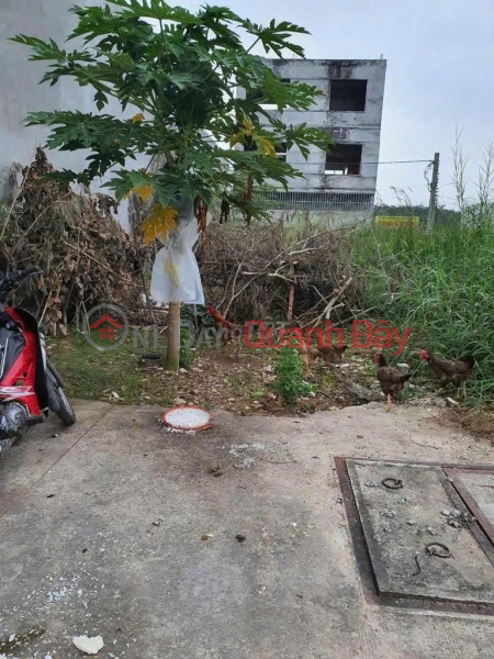 Property Search Vietnam | OneDay | Nhà ở | Niêm yết bán, ĐẤT ĐẸP – GIÁ TỐT- CHÍNH CHỦ CẦN BÁN ĐẤT Tại Xã Vĩnh Tân, Thị xã Tân Uyên, Bình Dương