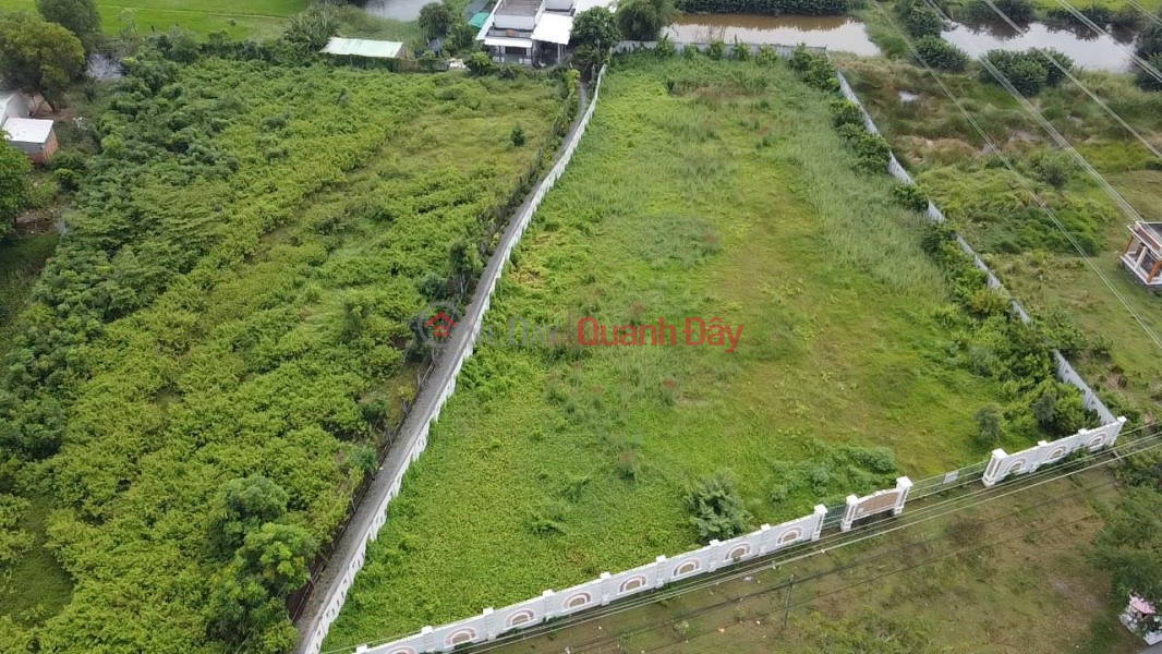 OWNER Needs Long-Term Lease of Land Fronting National Highway 50 in Tan Lan Commune, Can Duoc Town, Long An Rental Listings