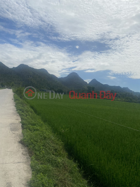 Property Search Vietnam | OneDay | Residential | Sales Listings BEAUTIFUL LAND - GOOD PRICE - Owner Sells Land Lot on Highway 10, Nga Son District, Thanh Hoa Province