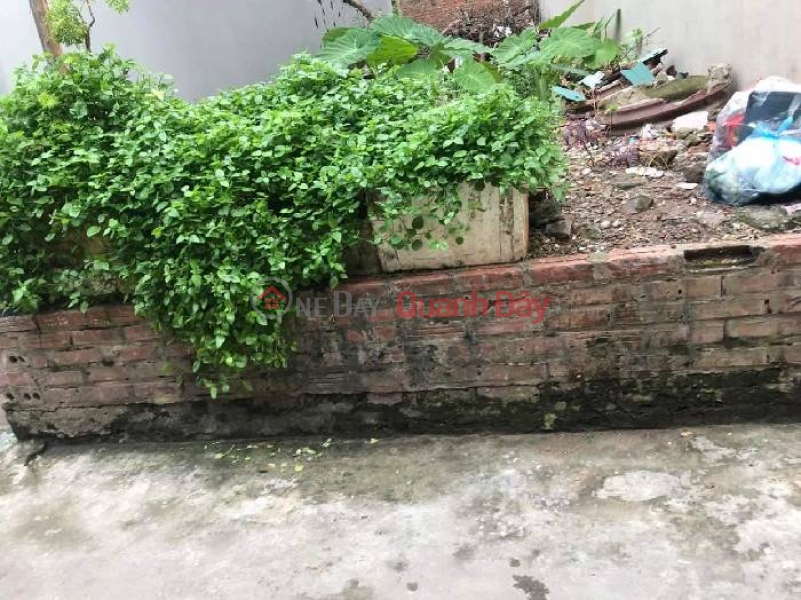 Property Search Vietnam | OneDay | Residential | Sales Listings, Viet Hung land for sale 50m, open lane, 5m to the road, 3 cars avoid price 3.x billion T. Luong Contact: 0936123469