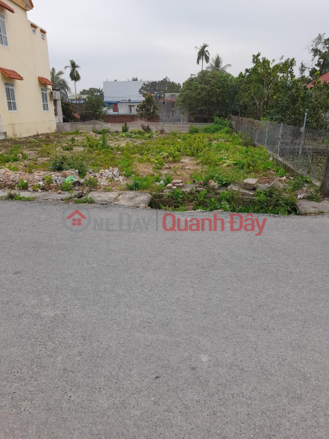 OWN A BEAUTIFUL LOT OF LAND NOW - GOOD PRICE In My Duc, An Lao, Hai Phong _0