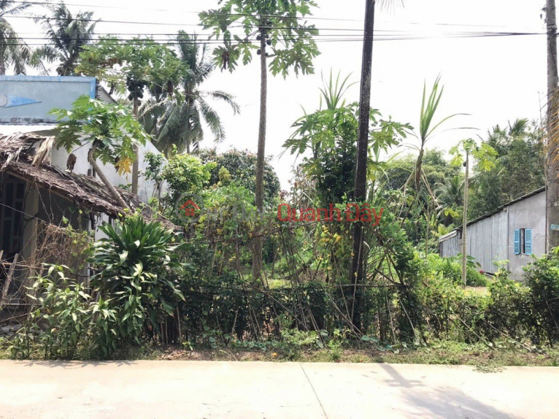 Land with frontage of South Song Hau road, shocking price! Address: An An Hamlet, An Lac Commune, 1km from Cai Con market, Vietnam Sales đ 850 Million