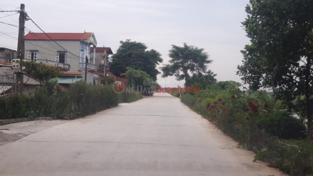 Property Search Vietnam | OneDay | Residential Sales Listings Land for sale in Phu Xuyen, big and beautiful road, worth investment.