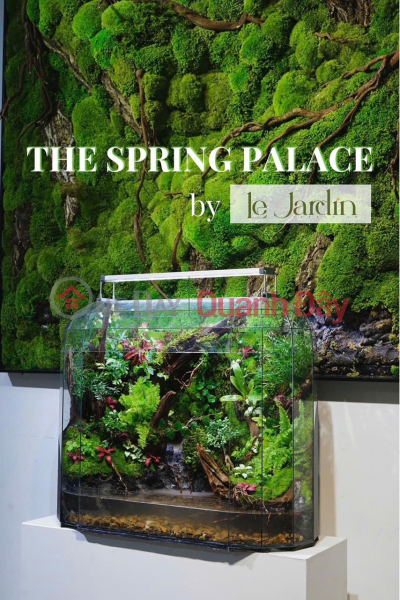 Le Jardin Terrarium - Shop uy tín tại HCM, 37 Hoa Mai (Le Jardin Terrarium - Prestigious shop in HCM, 37 Hoa Mai) Phú Nhuận | ()(2)