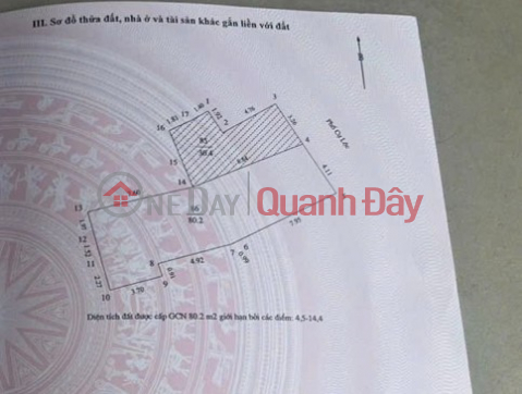 (Tin thật 100%) Bán chung cư mini 81m2 x 18P tại mặt phố Cự Lộc - Thanh Xuân - Dòng tiền 1,5 tỷ/năm _0