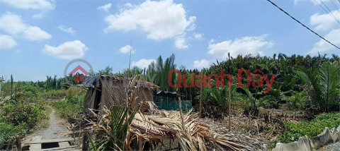 Đất đẹp – giá đầu tư sở hữu ngay 4 lô đất liền kề tiềm năng tại huyện Cần Đước, tỉnh Long An. _0