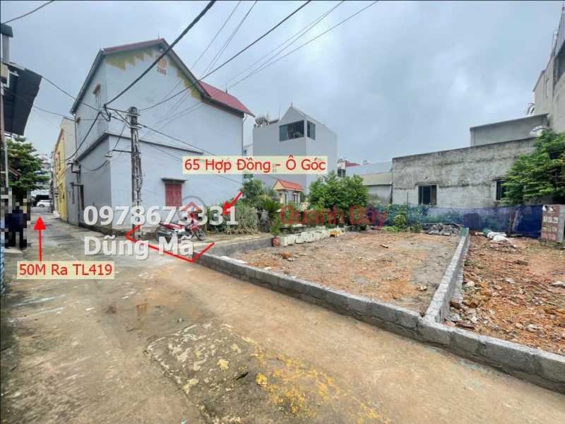 65M2 LAND FOR SALE IN DONG LE-CONTRACT-CHUONG MY Sales Listings