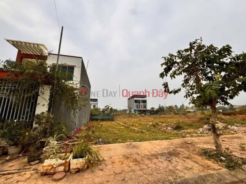 Land in Xuan Hoa Electricity and Water Urban Area - Prime location, 2nd Street, Le Quang Dao Sales Listings