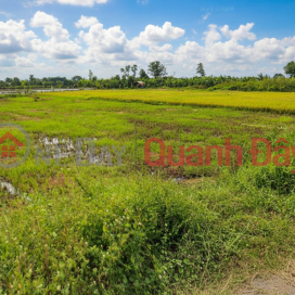 Giảm 100tr! Đất SHR HXH 246m2, Nở hậu – Trần Thị Năm Q12 SS _0