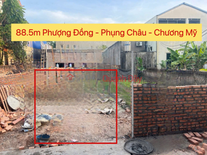 CHÍNH CHỦ CẦN BÁN LÔ ĐẤT 88,5M TẠI PHƯỢNG ĐỒNG-PHỤNG CHÂU-CHƯƠNG MỸ-HÀ NỘI Niêm yết bán