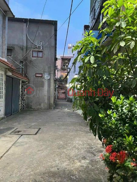 Car Alley House - whole house for rent | Vietnam Rental đ 12 Million/ month