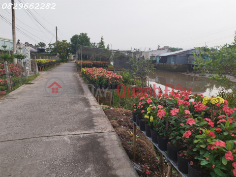 Urgent Sale of Residential Land 308m², Pham Hong Thai Street, Sa Dec, Dong Thap - 1 Billion 950 _0