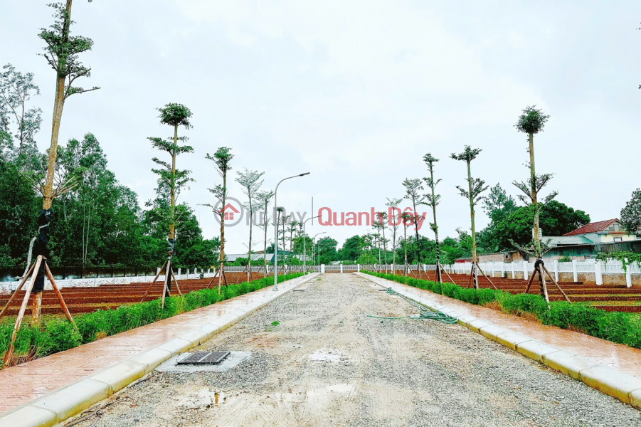 ONLY 18 LAND LOTS LEFT AT F0 PRICE IN PHU NINH - VALLEY PROJECT AREA - RED BOOK FOR EACH LOT - PROFITABLE INVESTMENT Sales Listings