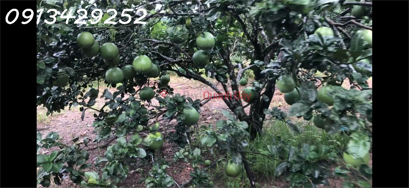 | Please Select Residential Sales Listings, đ 7.6 Billion