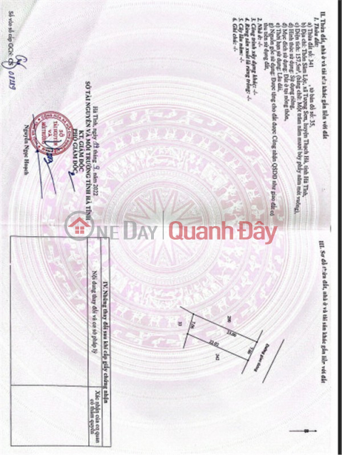 PRIME LAND – GOOD PRICE – OWNER NEEDS TO SELL 2 PLOTS OF LAND IN Tuong Son Commune, Thach Ha District, Ha Tinh Province _0