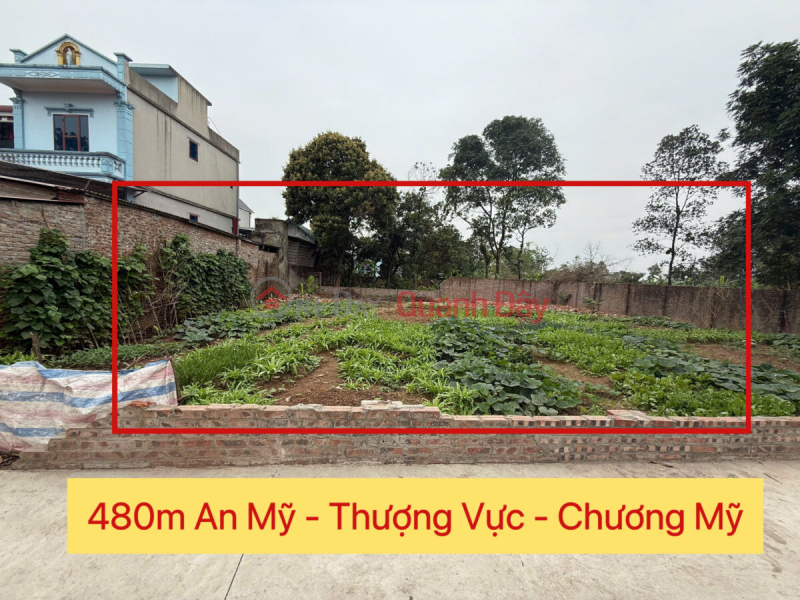 CHÍNH CHỦ CẦN BÁN LÔ ĐẤT 480M TẠI THƯỢNG VỰC-CHƯƠNG MỸ-HÀ NỘI Niêm yết bán