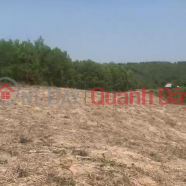 BEAUTIFUL LAND - GOOD PRICE - OWNER NEEDS TO SELL LAND LOT QUICKLY IN Dak So Mei Commune (Dak Doa district, Gia Lai province) _0