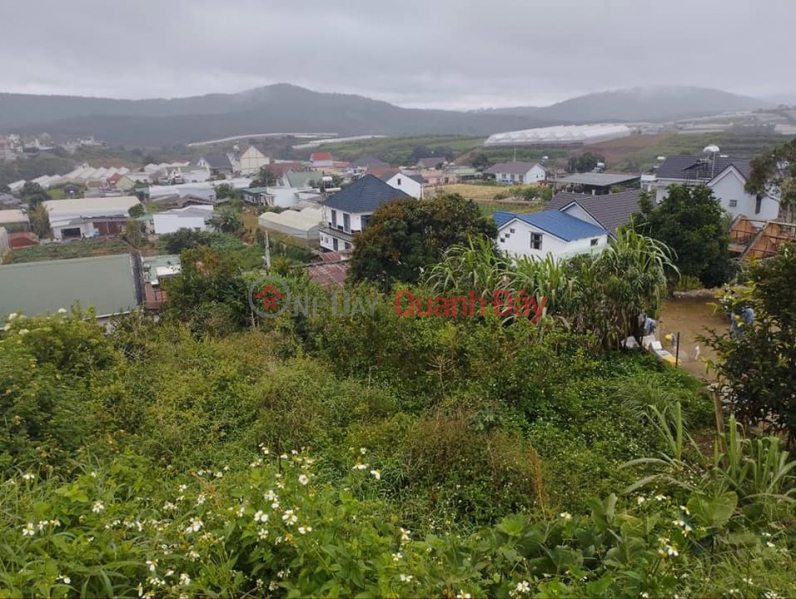 Land lot for sale in Spring Tho city, Da Lat city. Sales Listings