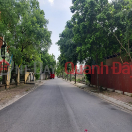 Bán đất 81m2 Thuận An Gia Lâm lô góc mặt tiền 20m đường lớn ô tô tránh 0989894845 _0