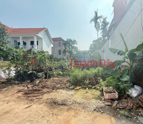 Đất Kim Châu, Kim Thư DT52m2, MT5m, 3.23 tỷ Thanh Oai _0