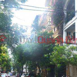 Rare, 7-storey Elevator, Cars allowed, Business, Ton Duc Thang, Dong Da, over 21 billion _0