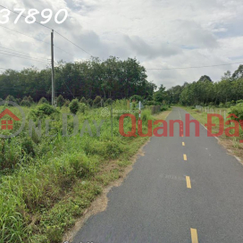 Bán đất tại đường Lò Rèn, Long Hòa, 4,5tr/m2, 3500m2, view đẹp, nhiều tiện ích _0