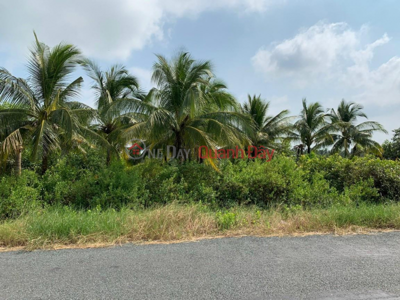 Property Search Vietnam | OneDay | Residential | Sales Listings, BEAUTIFUL LAND - GOOD PRICE - Land Lot for Sale in Beautiful Location on Cai Lon Sewer Street - Hung Yen - An Bien - Kien Giang