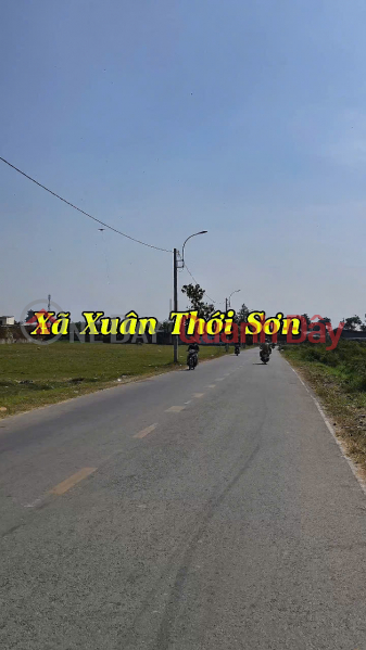 (82) Large land for sale, frontage, container road, 5,170m2, Hoc Mon District, price 30 billion x billion | Vietnam Sales | đ 30 Billion