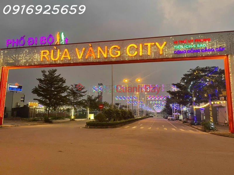 Property Search Vietnam | OneDay | Nhà ở, Niêm yết bán, Bán đất ở đô thị Rùa Vàng, thị trấn Vôi, Lạng Giang, Bắc Giang, giá đầu tư