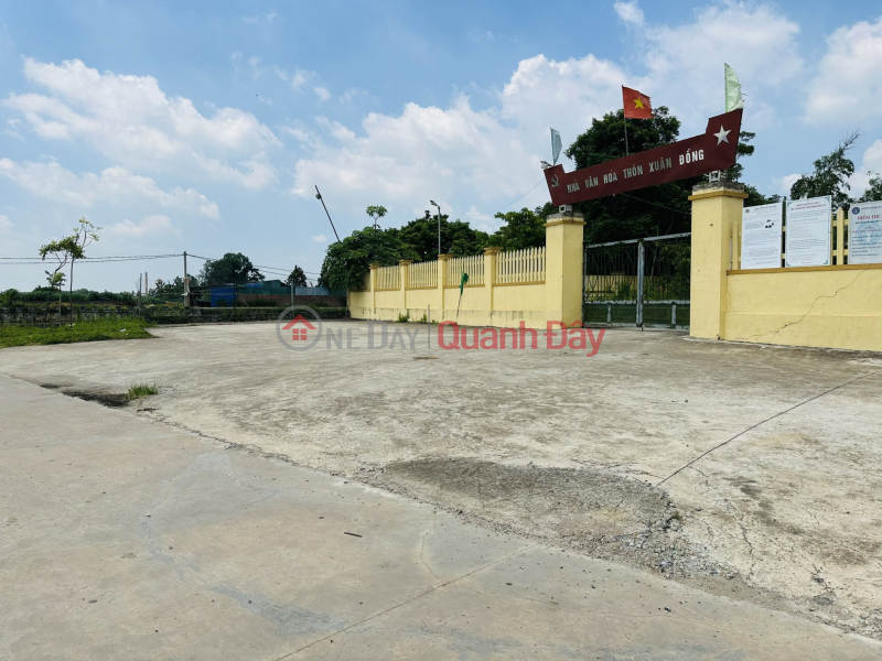 Property Search Vietnam | OneDay | Residential Sales Listings Only 420 million plots of land in Soc Son are fully residential, including title transfer books, 5m road for cars to enter the land