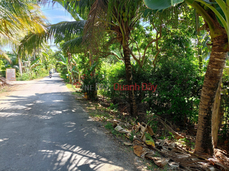 Property Search Vietnam | OneDay | Nhà ở, Niêm yết bán ĐẤT ĐẸP - GIÁ TỐT - Bán Nhanh Lô Đất Vị Trí Đắc Địa Tại Xã Nhơn Thạnh, TP Bến Tre, Bến Tre