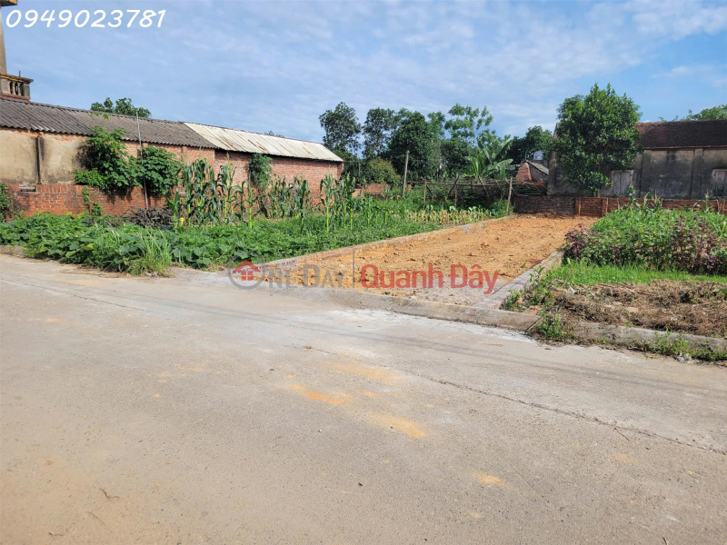 Property Search Vietnam | OneDay | Residential Sales Listings | Need money to quickly sell 112.5m2 land plot in Tan Minh commune, Soc Son, Hanoi, beautiful location, investment price