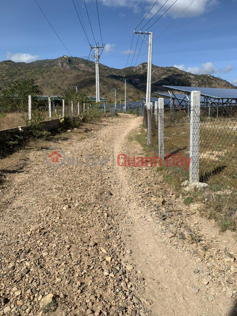 OWNER LAND - FOR SALE LOT OF LAND IN THUAN BAC NINH THUAN PROVINCE _0