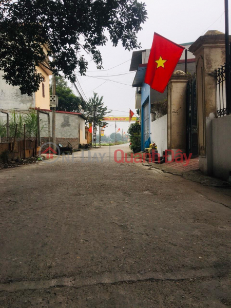 Property Search Vietnam | OneDay | Nhà ở, Niêm yết bán | Hàng hiếm cho nhà đầu tư 
94,5m Lương Quy - Xuân Nộn - Đông Anh