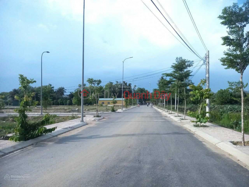 Land for sale in Tan Hoi project behind Tan Hoi church in the city center, only 500m from National Highway 1A Sales Listings