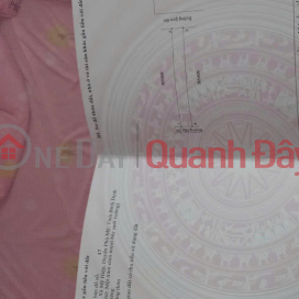 OWNER'S LAND - BEAUTIFUL LOCATION Tra Binh Dong Village, My Hiep Commune, Phu My - Binh Dinh _0