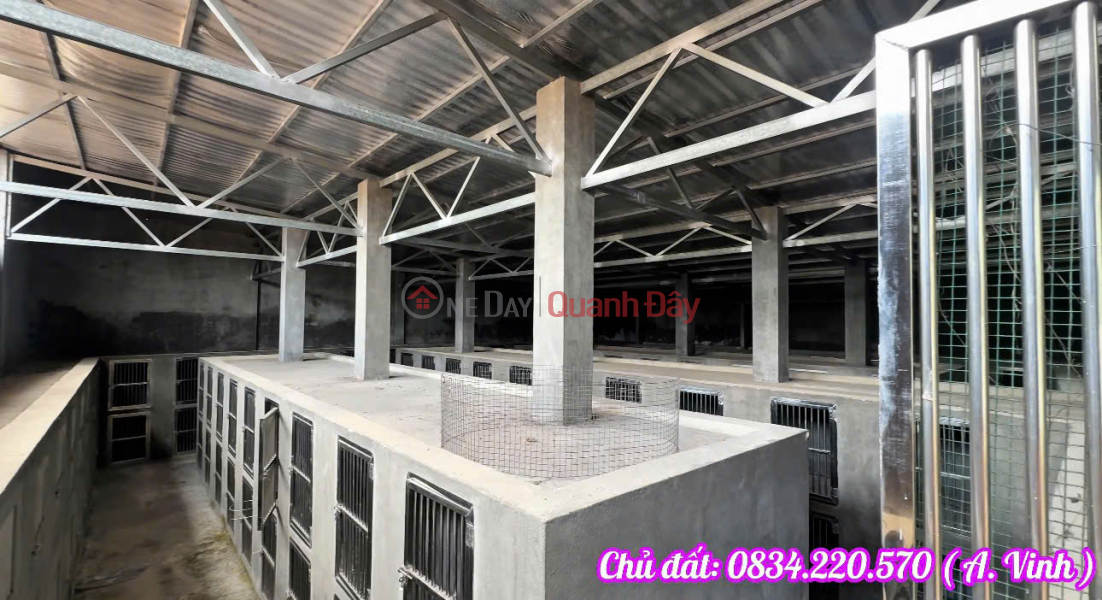 SELLING AT A LOSS OF OVER 1 BILLION VND – WAREHOUSE 1,073M² NEAR RING ROAD 4 – CU CHI – PRICE 5.6 BILLION VND (NEGOTIABLE) Sales Listings