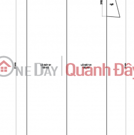 FOR SALE: 2 PLOTS OF LAND FACING TAI TRAU LAKE, NGOC THUY - LONG BIEN, 120M2, 31.8 BILLION VND. _0