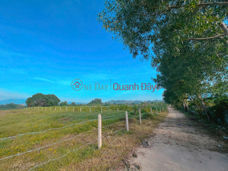 Property Search Vietnam | OneDay | Nhà ở, Niêm yết bán | Quá kẹt. 2652m2 ven sông cái 95m. Bank định giá 5 tỷ. Nay bán gấp 3.8 tỷ. \