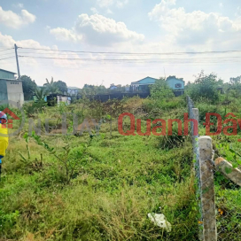 BEAUTIFUL LAND - GOOD PRICE - Owner Needs to Sell Land Quickly in Thuan My Commune, Chau Thanh, Long An _0