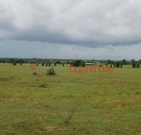 Land for sale at the front of National Highway 55, Lac Thuan Quarter, Lac Tanh town, Tanh Linh district, Binh Thuan province _0