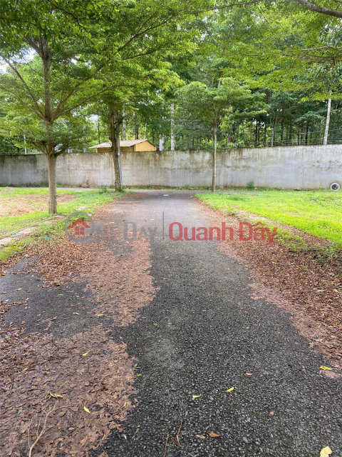 OWNER Needs Money to Turn Over Capital, Needs to Sell Land Urgently in AN PHUOC - NEAR LONG DUC INDUSTRIAL PARK - Reasonable Price _0