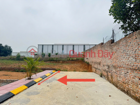 Urgent sale of 100m² land in Thai Lai, Minh Tri, Soc Son. Paved road, sidewalk, perfectly square. _0