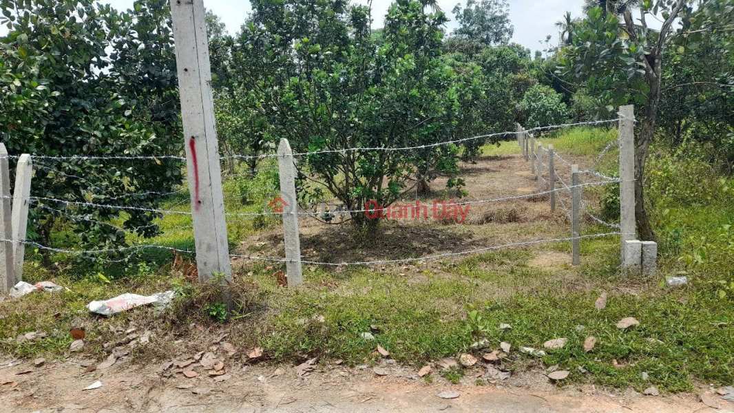 ĐẤT ĐẸP - GIÁ TỐT - Bán GẤP Lô Đất Tiềm Năng Tại xã Mỹ Đức, tỉnh Lâm Đồng | Việt Nam Bán đ 299 triệu