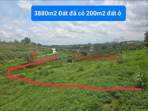 3880m2 land for sale in Ninh Gia, Duc Trong, Lam Dong, 3.9 billion VND. _0