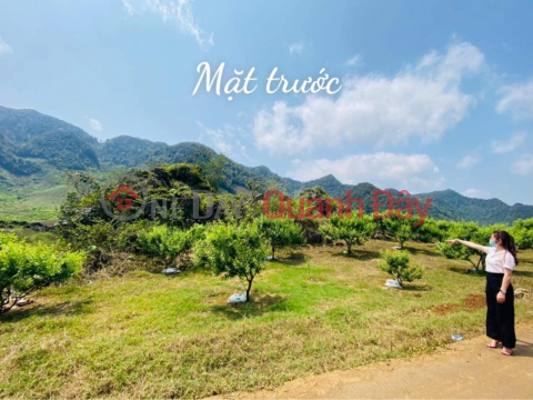 The owner sells land with a total area of 5300m2 in Ban Thong Cuong, Moc Chau, Son La _0