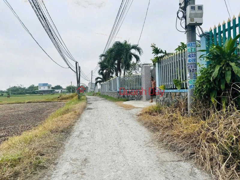 BEAUTIFUL LAND - PROFITABLE INVESTMENT - Owner Needs to Sell Land in Duc Hoa Dong Commune, Duc Hoa, Long An, Vietnam Sales đ 1.5 Billion