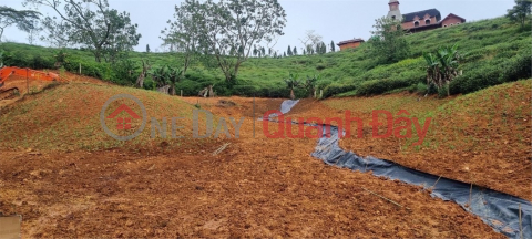 BEAUTIFUL LAND - INVESTMENT PRICE - NEED TO SELL A LOT OF LAND IN A GOOD LOCATION IN Xuan Truong Ward - Da Lat, Lam Dong _0
