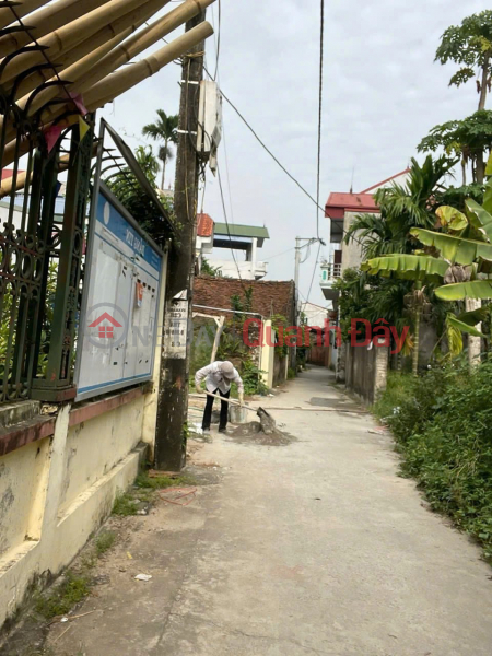 OWNER SELLS BEAUTIFUL LAND LOT - GOOD PRICE - Prime Location At Tran Phu Village, Dan Hoa Commune, Thanh Oai District, Hanoi City Sales Listings